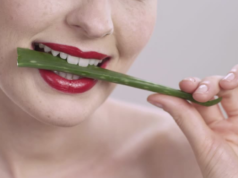 1001 Khasiat Lidah Buaya, Mengatasi Kulit Kering Hingga Menghilangkan Plak Gigi.