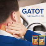 koyo pereda pegal hansaplast