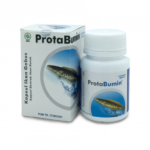 kapsul ikan gabus terbaik