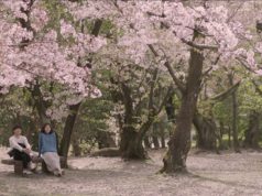 Sinopsis Film Korea “Memories of a Dead End” sinopsis film korea memories of a dead end