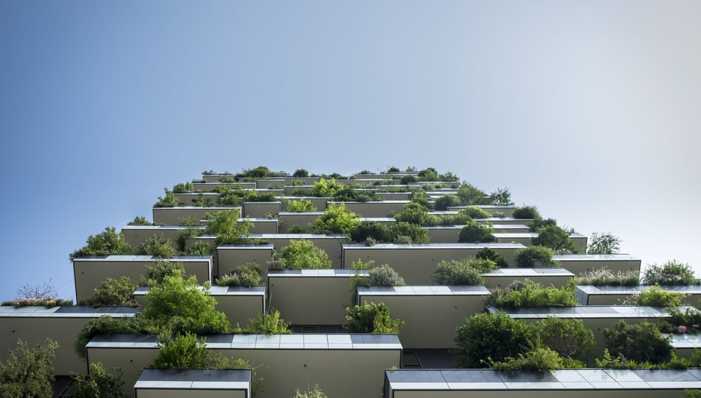 sewa apartemen sewa apartemen