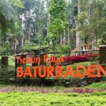 kebun raya baturaden