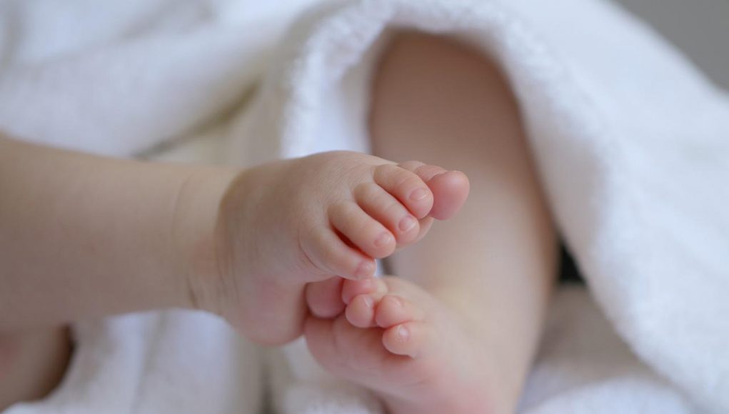 kulit bayi kulit bayi