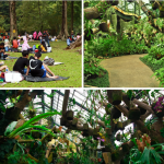 kebun raya bogor tiket.com