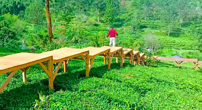 tea bridge