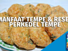 Manfaat Tempe dan Resep Perkedel Tempe dengan Tepung Kobe Bakwan Kress resep perkedel tempe