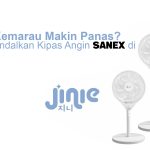 SANEX